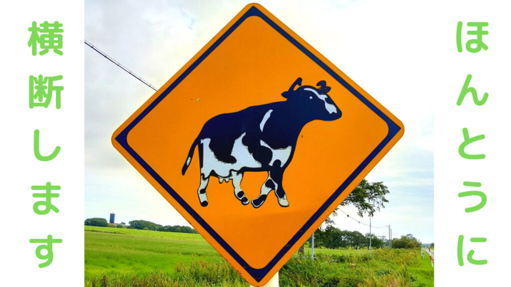 牛横断注意　アイキャッチ
