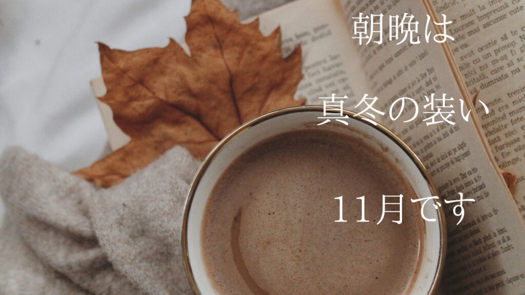11月　アイキャッチ