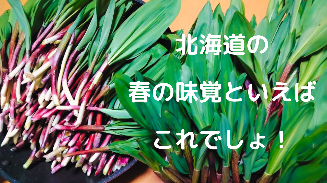 北海道の味・行者にんにく】旬の時期・採れる場所、おすすめの食べ方を