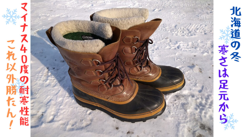 ソレル記事アイキャッチ